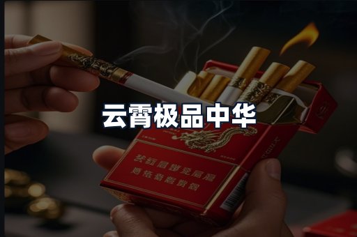云霄极品中华